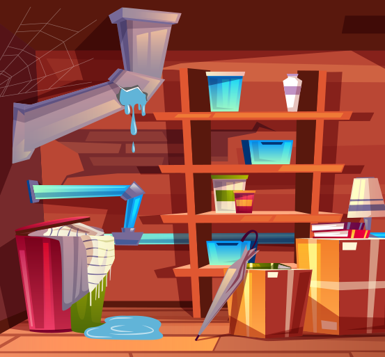 Basement moisture issues that lead to mold growth in Denver homes