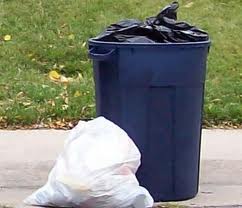 Mold-contaminated building material being removed during remediation