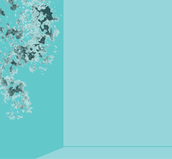 Hygrometer showing high indoor humidity levels that promote mold growth