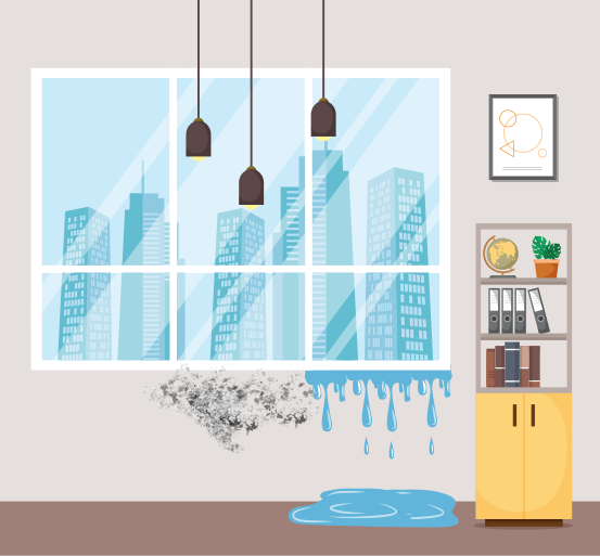 Roof leak and window leak areas vulnerable to mold growth